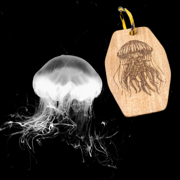 Schlüsselanhäger Qualle